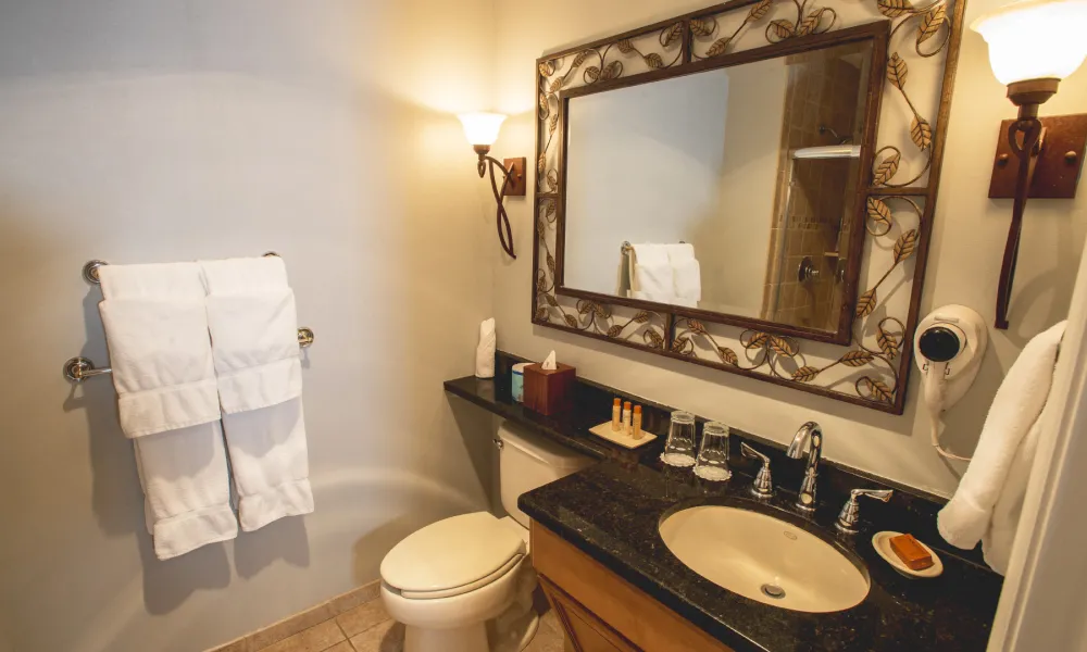Deluxe Guest Bathroom at Minerals Hotel