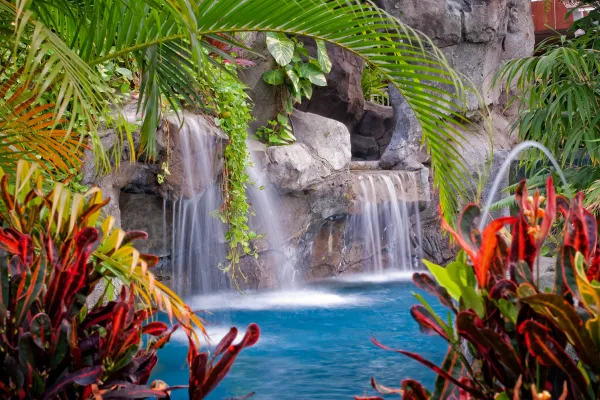 Waterfall at Biosphere Pool Complex in Grand Cascades Lodge