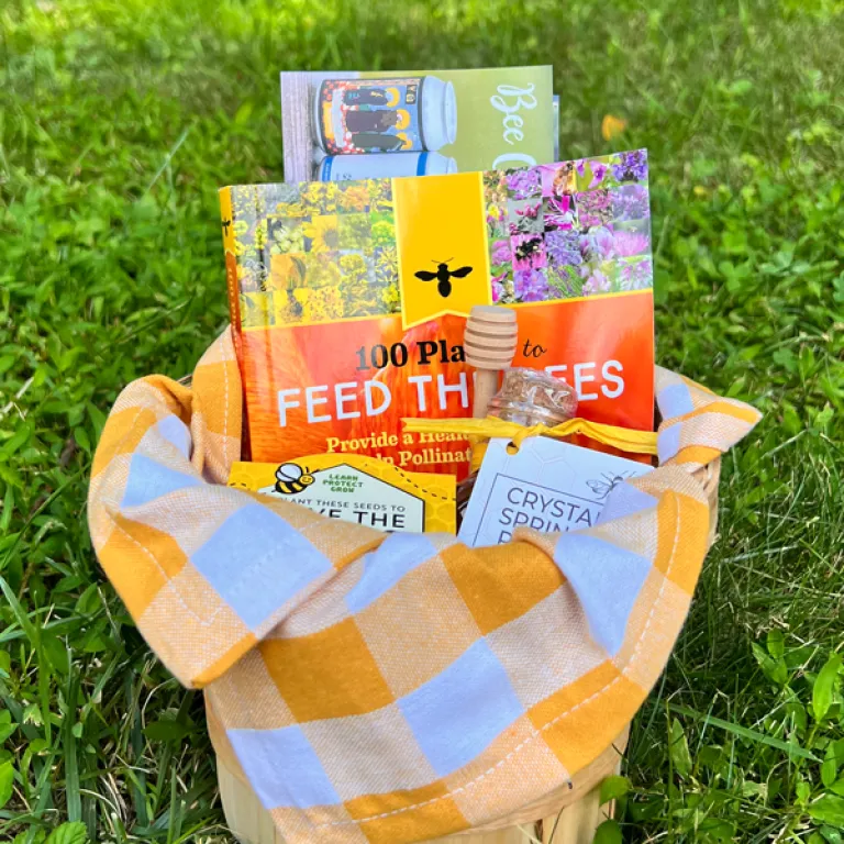 Bee Our Guest Basket