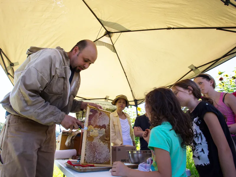 Beekeeper