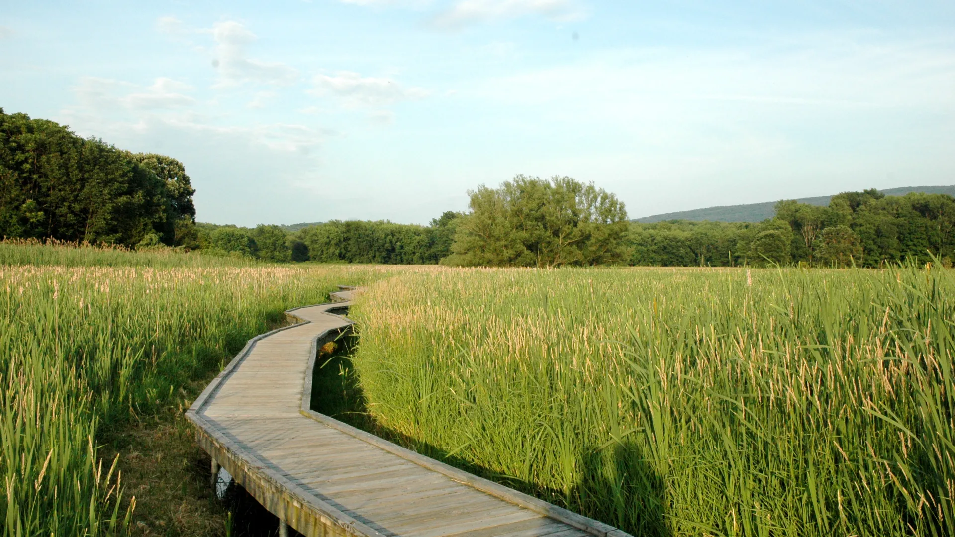 Hiking trail.