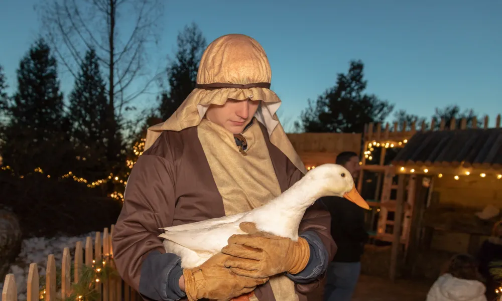 Shepherd holding a goose.