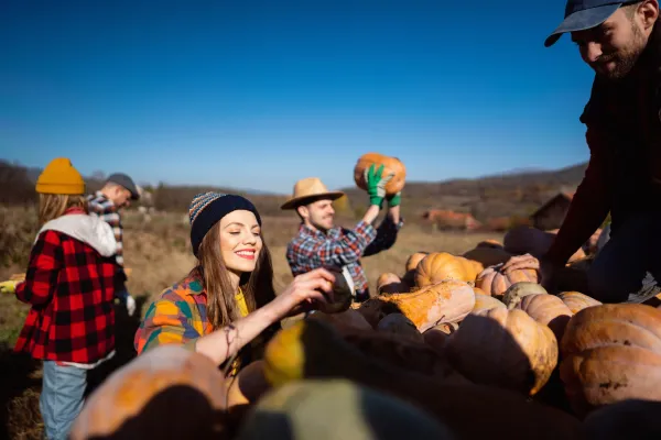 Group of adults picking pumpkins